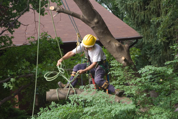 Lawn Irrigation Installation and Maintenance in Puxico, MO